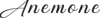 anemone-logo_2-1